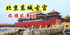 操骚逼美女视频中国北京-东城古宫旅游风景区
